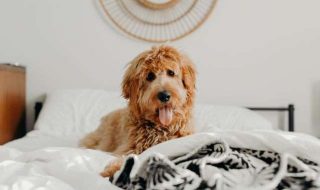 brooke-cagle-szzLdR9800c-unsplash