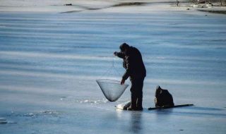 denis-agati-Rmjc1M9bqqY-unsplash