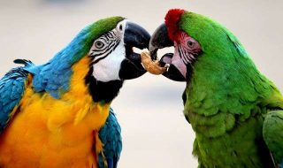 domenik-kowalewski-yKaiOxY5Dyg-unsplash