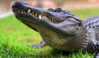 jack-kelly-gAvQfrHwbgY-unsplash