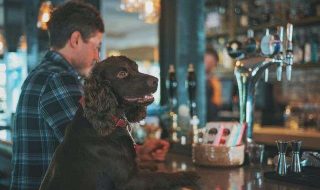 james-lacy-Evbn9CU12UU-unsplash