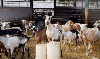 jorge-salvador-WUWGO6xmvoY-unsplash