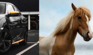 r-nolan-yOg99a-LwQY-unsplash