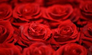 ricky-kharawala-pVOOebNvs_M-unsplash