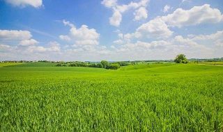 summer-g7271c93a9_640