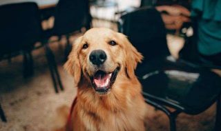 helena-lopes-_XbNCkQrRd0-unsplash