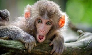 jamie-haughton-Z05GiksmqYU-unsplash