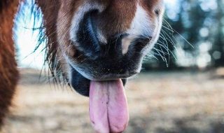 mona-eendra-sQwzWh0r94A-unsplash