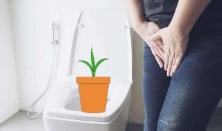 toilet-g857ac3285_640