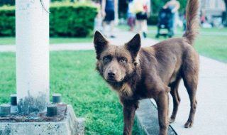 andrew-leu-bf_9WRGd-dI-unsplash