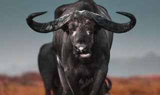 geran-de-klerk-ZNGos3i-wyA-unsplash