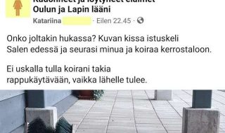 kissaihmiset-osa-50-fvu2