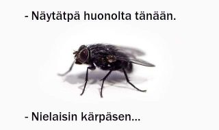 chris-curry-N4AFGRPZGk4-unsplash