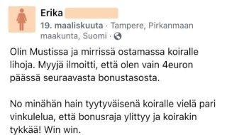 Feissarimokat: Koiran uusi lelu tuli maksamaan maltaita koiranomistajat-osa-43-nkb2