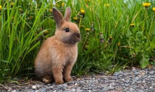 sgalagaev-w0rUWZi7jxM-unsplash