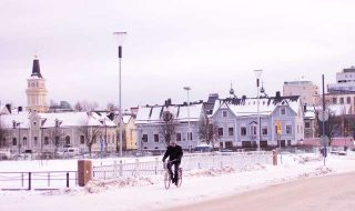 green-ant-FBscbQUnG5A-unsplash