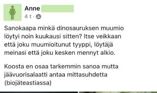 luontoilta-osa-63-jhb2