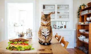 paul-hanaoka-w2DsS-ZAP4U-unsplash