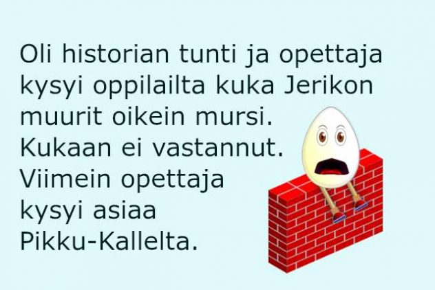 Muuri