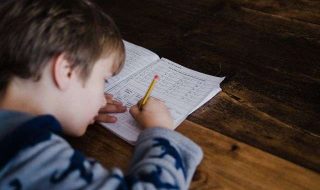 annie-spratt-ORDz1m1-q0I-unsplash