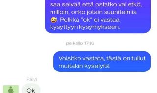 kirpputorin-loytoja-osa-463-ryj2