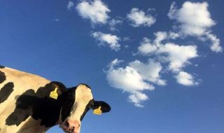 ryan-song-0ZN-fZOyV7c-unsplash (1)