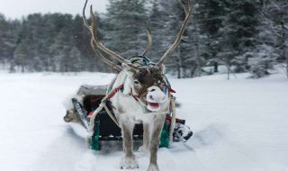 judith-prins-j1F-WyKgr28-unsplash