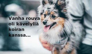 marty-o-neill-aB4ueVyGwJs-unsplash