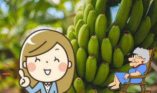 monika-guzikowska-bf8wyxuqObE-unsplash