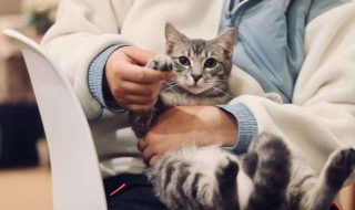 werzk-luuuuuuu-tDlo2ZPlQlU-unsplash