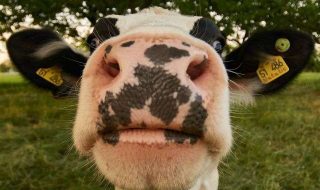 wolfgang-hasselmann-CY6MLcLvdX0-unsplash