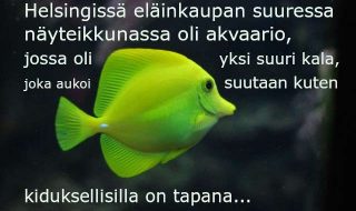 gabor-szuts-uu8sDKvTx-g-unsplash