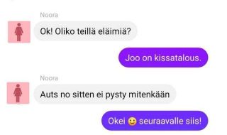 Feissarimokat: Kun talossa on kissa, ei lasejakaan saa myydä.. kirpputorin-loytoja-osa-475-cpt2
