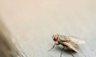 jin-yeong-kim-f98dJ8VkuTk-unsplash