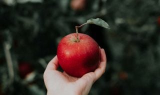 priscilla-du-preez-CoqJGsFVJtM-unsplash