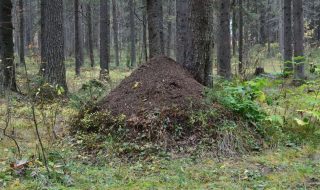 stanislav-maslov-mLlMQPm4iB4-unsplash