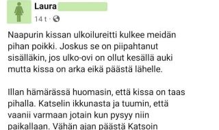 kissaihmiset-osa-61-dcw2