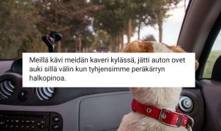 marieke-koenders-e6Bk-n4Mb3g-unsplash