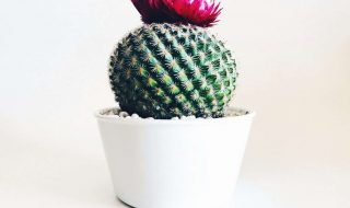 stephanie-harvey-N9lmtlOuaDM-unsplash