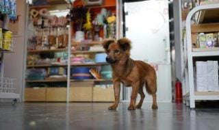 daisy-d-xseaK0kISrI-unsplash