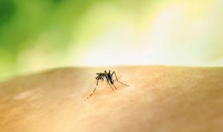 national-institute-of-allergy-and-infectious-diseases-eOR3TOE9Jw0-unsplash