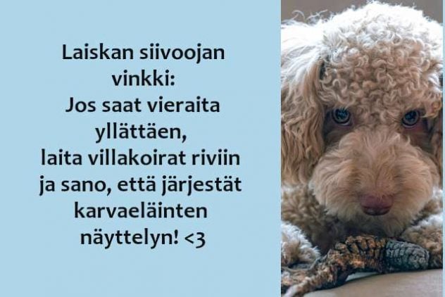 Karvaelain