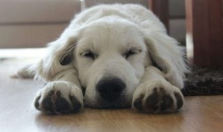 ali-alauda-ag_n2S2D9T0-unsplash