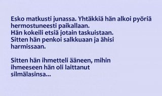Eskon muisti pettää vai sittenkin näkö? Silmaesko