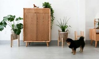 a65-design-WUDiBr2dpfE-unsplash