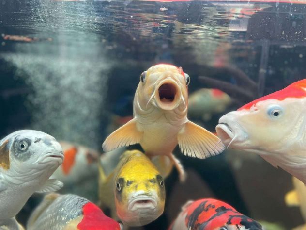 zac-alford-I-t6-WM4XNE-unsplash