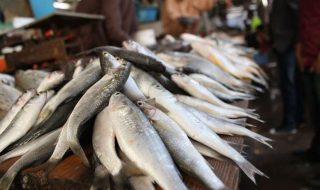 zeeshan-tejani-FVRgbf99V6k-unsplash