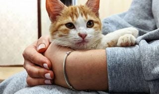 roman-synkevych-CvqbScu5hcQ-unsplash